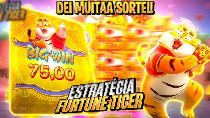 11 win bet imagem de tela 4